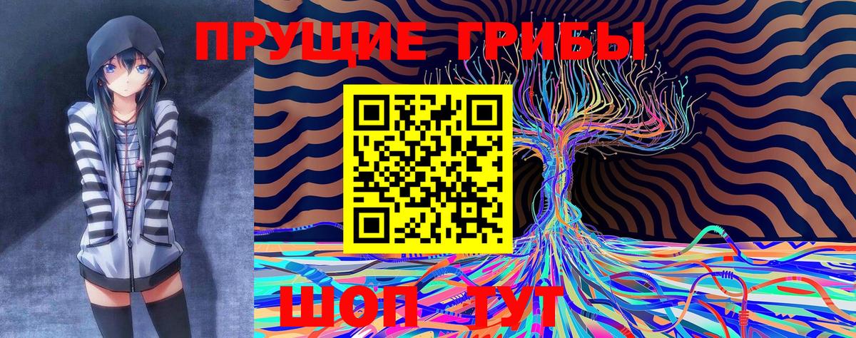 Псилоцибиновые грибы Magic Shrooms  Вход с VPN  Рубцовск 