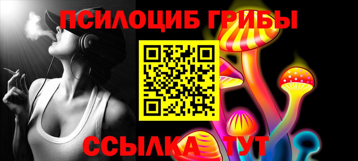 Псилоцибиновые грибы Cubensis Рубцовск
